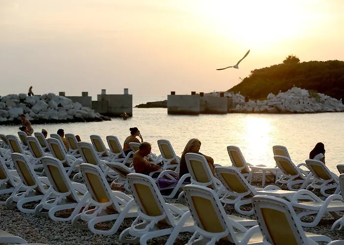 아파트 Max 브르사르